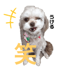 moka_20190726221618