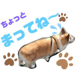 rika_20190726212742