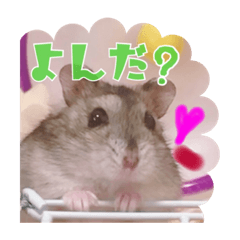 Alice_20190727000745