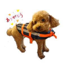 hana_20190727091150