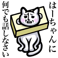 Stray cat!! Ha-chan