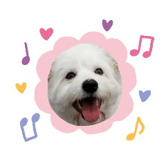 azu_20190727005431