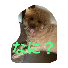 riku_20190727002144