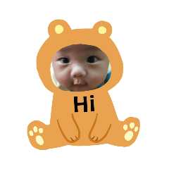 各種鑫寶