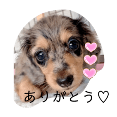 Saya_20190727005024