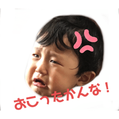 hachi_20190727103527