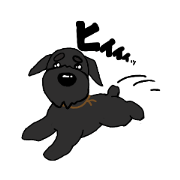 schnauzer_20190727150212