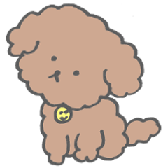 "Mokomoko" Toy Poodle