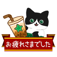 動く 大人かわいい毎日カフェ猫 Line スタンプ Line Store