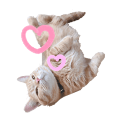 YUKARI_20190727192813