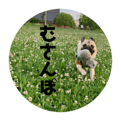 NATSUKI_20190727195521