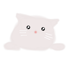 Cute Cotton Candy Cat