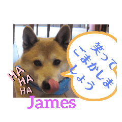 D.J.James_20190727085539