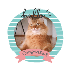 ソラくんの日常スタンプ