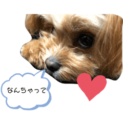 monmon_20190727214244
