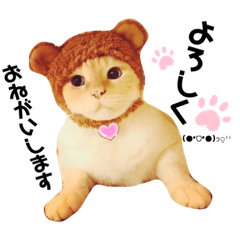 toko_20190727214332