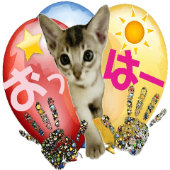 kitten stickers heisei