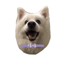 小名與萊恩