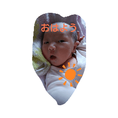 2019rinrinminmi