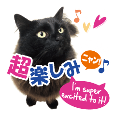 A free & easy cat : TANGO vol.2