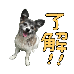 baby_20190727151503