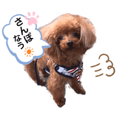 Moco_2nd ver.