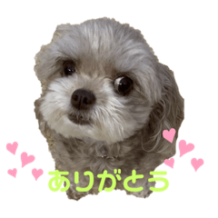 moka_20190728124159