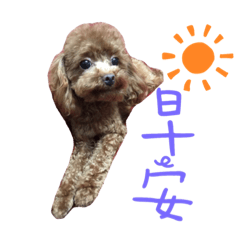 小語的寶貝