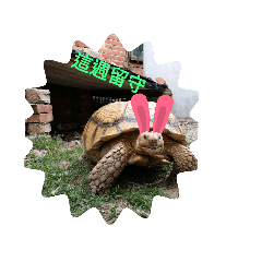 小小動物園