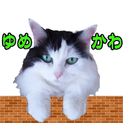 Cat_Sticker_No2