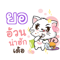 YOR Seenuan cat_E