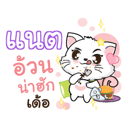 NAT6 Seenuan cat_E