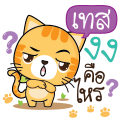 TEST2 Sesa cat_S