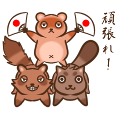 Raccoon dogs stickers