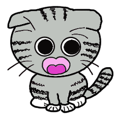 Daily Used sticker Scottish Fold Cat