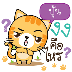 POON2 Sesa cat_S