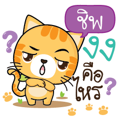 CHIP Sesa cat_S