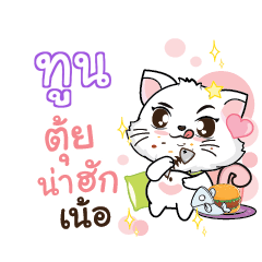 TOON2 Seenuan cat_N
