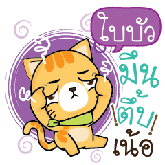 BAIBUA Sesa cat_N