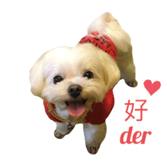 妞小姐
