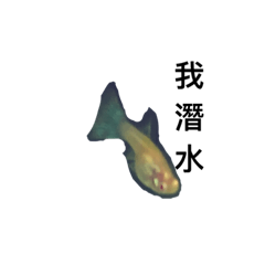 寵物孔雀魚