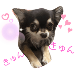 Mizuki_20190728205336