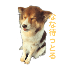 Asako_20190728204550