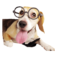 吳家三寶可愛又繽紛