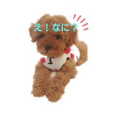 sueyoshihayate_20190729001639