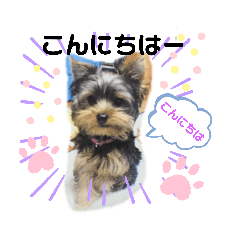 miko_20190728234342