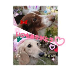 sally_20190728235930