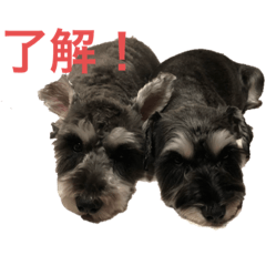 yuina_20190729013906