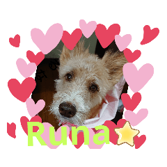 mina_20190729084109
