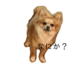 Ammy_20190729085458